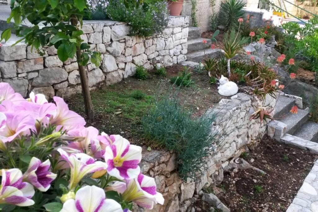 Mljet 2 You - Seafront Apartment 2+2 Sobra Esterno foto